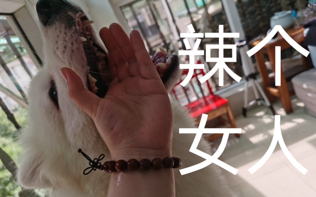 吃瓜网su7 吃瓜减少了信息过载问题