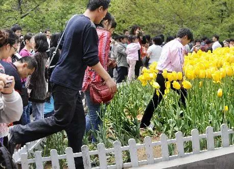 法国啄木鸟全集在线观看