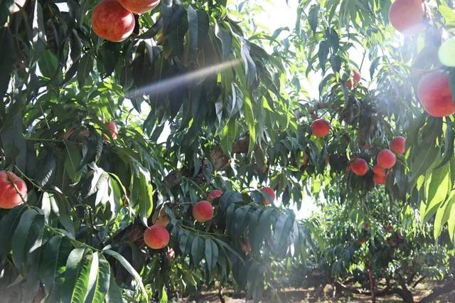 困困子 困困慵懒的困困气质