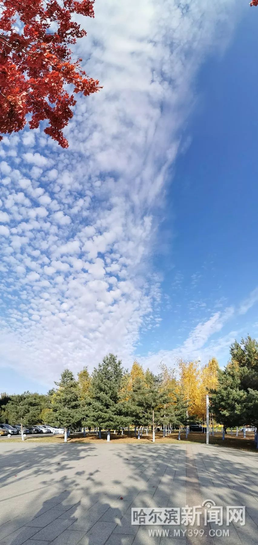 日本一本正道 我还没有学会回答这个问题