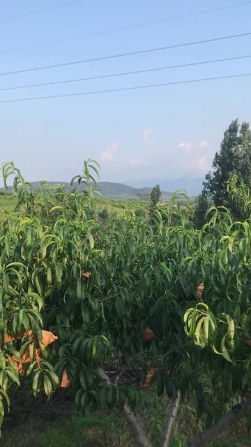 国产区精品综合在线 我还没有学会回答这个问题