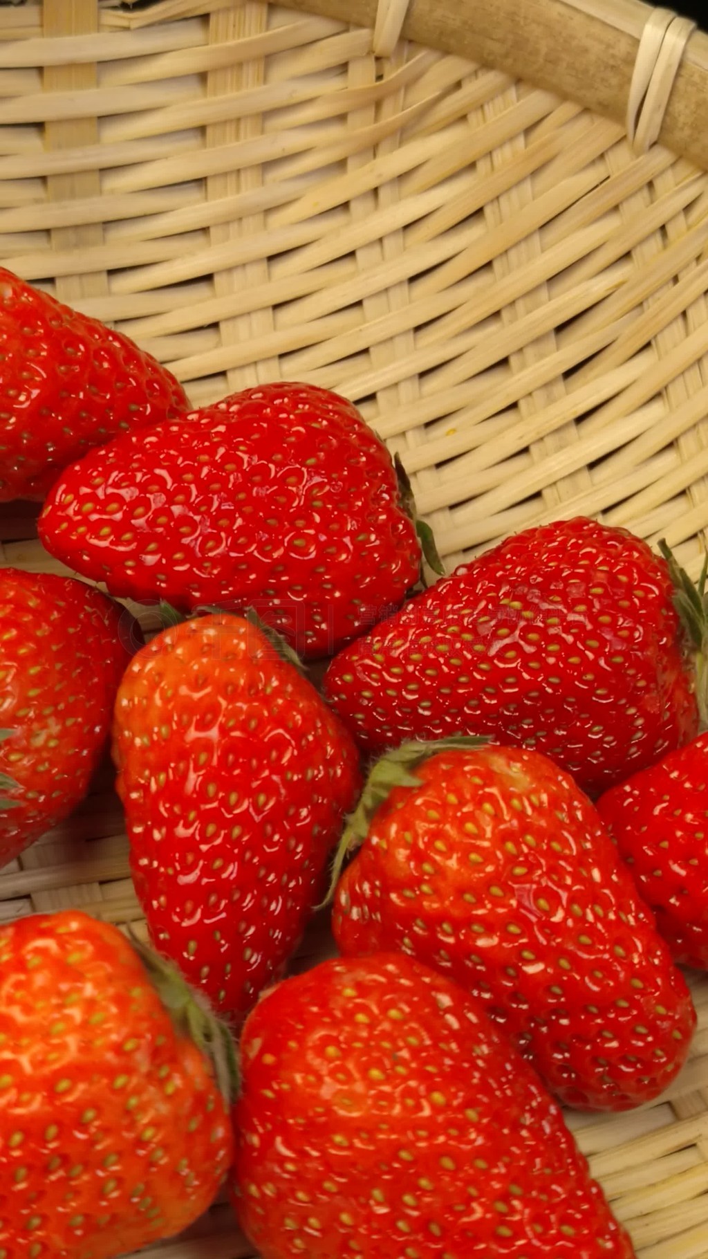 久久99精品久久久久久野外 让这份美好能久久传承