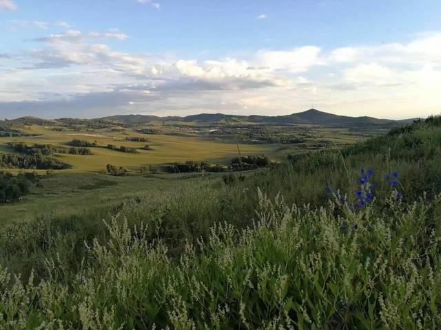 传媒剧情 《杀戮一代》：虽以战争为主