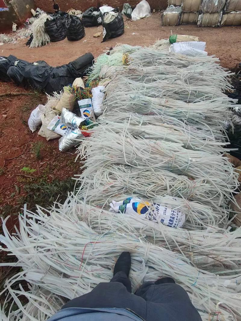 pkfashleylane电影 直接搜索她的名字即可