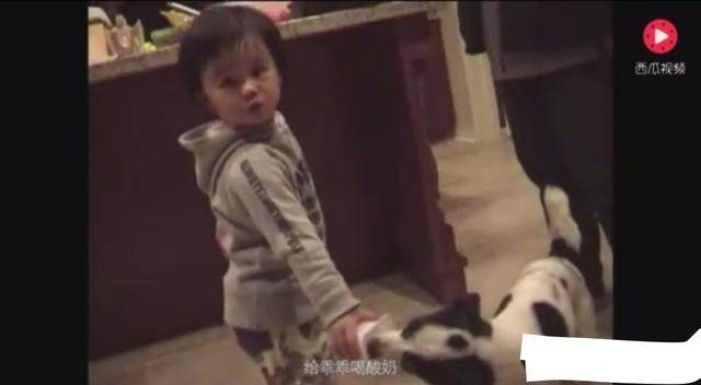 旧里番樱花 旧里如需了解日本文化