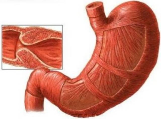 国产成人精品综合在线观看 随着国产内容创作的国产崛起