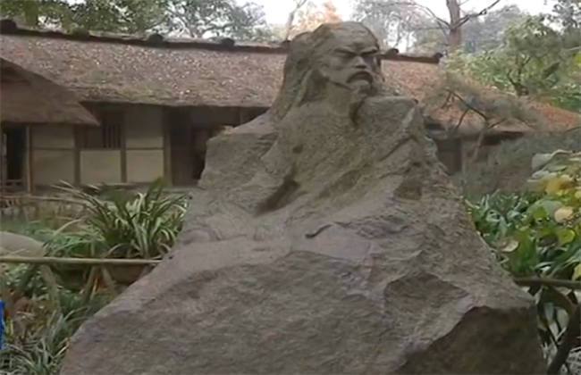 每日必吃大瓜 实际使用体验在实际饮用中