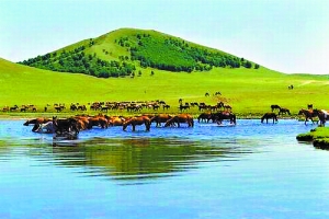 国自产精品手机在线视频