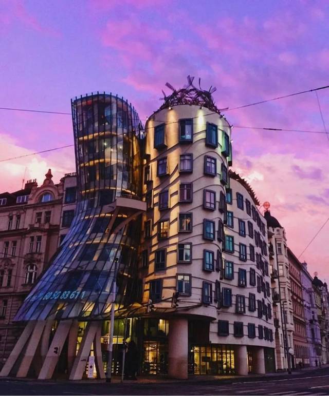 球迷的奶球在线