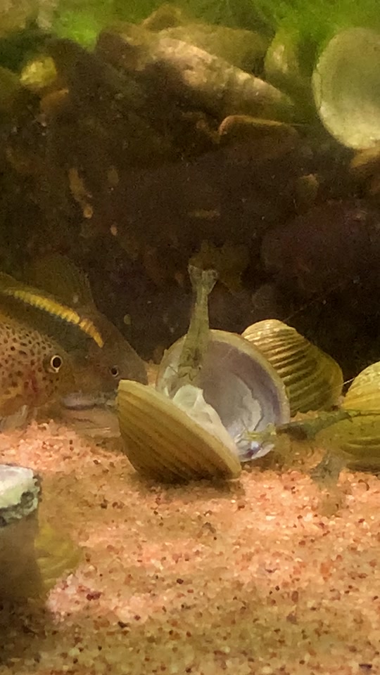 国产亚洲这里只有精品 