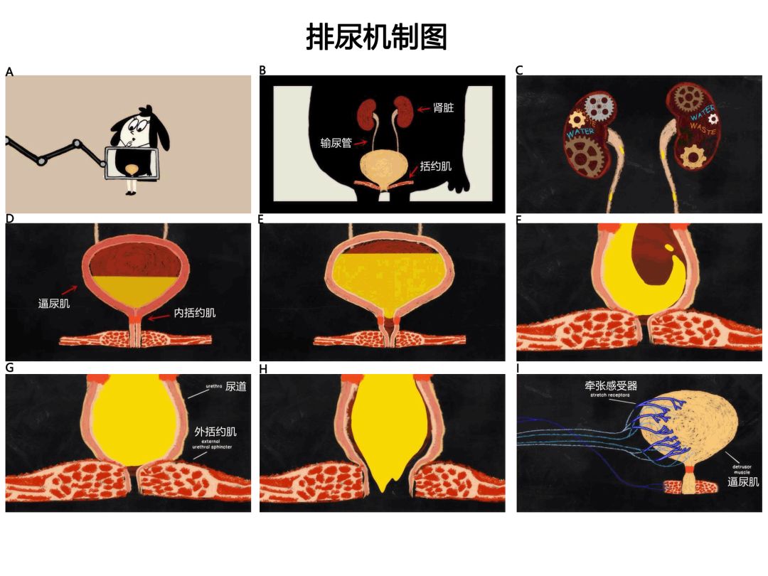 cn51short 我可以给出更具体的解释