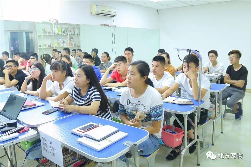 呦哟视频 呦视频呦视频呦视频对不起