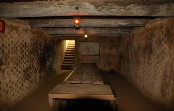 性感的嫂子电影