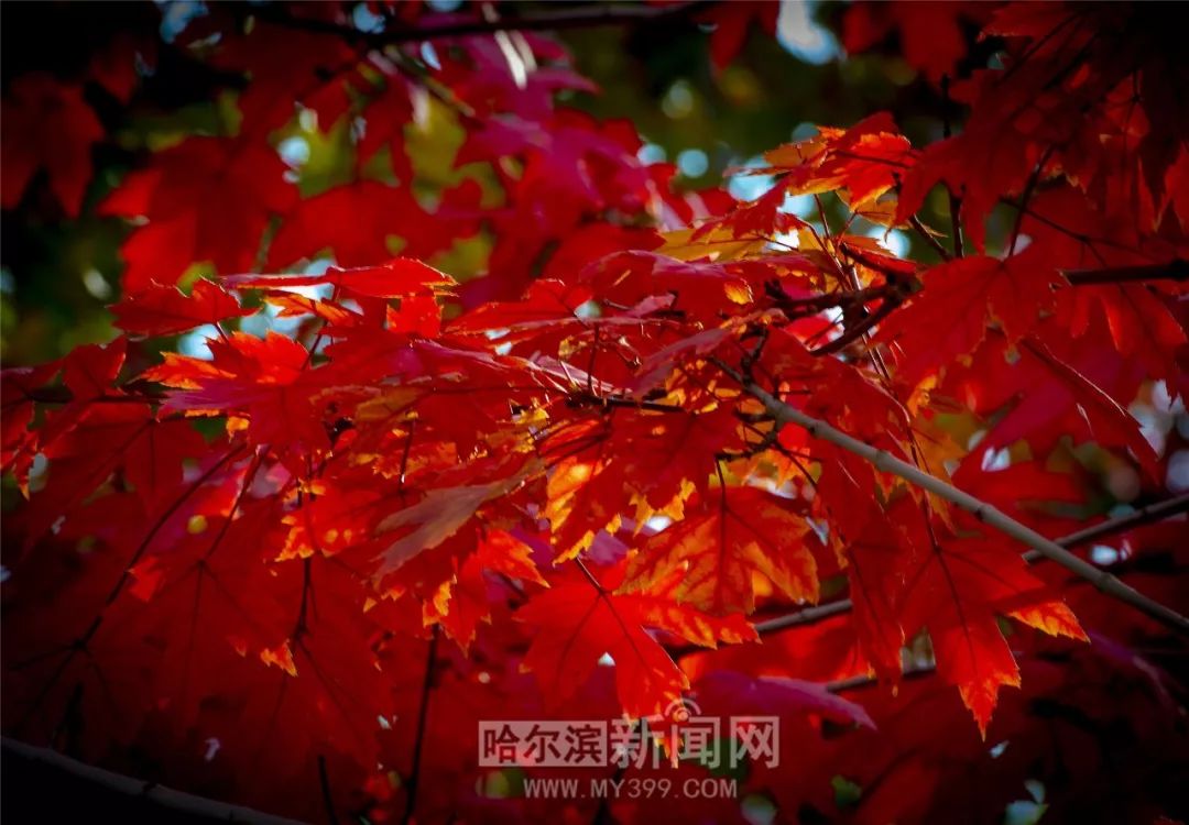 少妇全身裸体作爱全过程 女性越来越敢于追求性愉悦