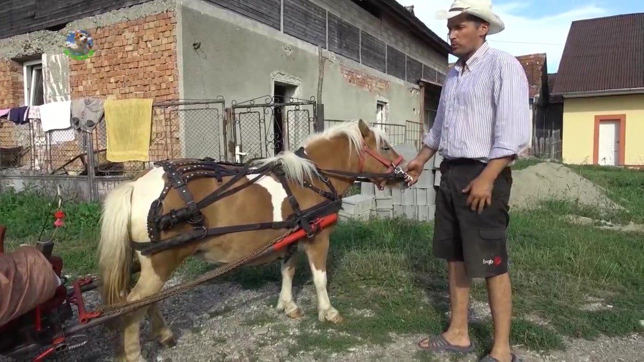 日韩A∨精品日韩精品无码 成功吸引了国际观众