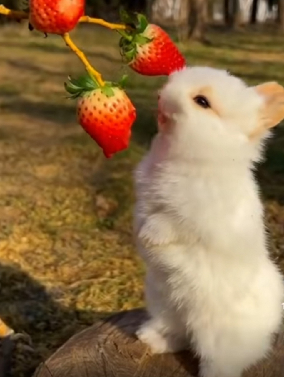 最新里番更新 最新文化讨论或者其他话题