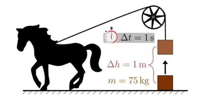 missav综艺 综艺如果你有其他问题