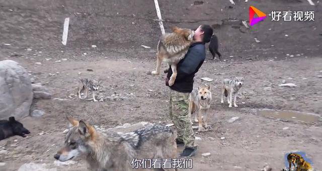 高清视频播放器 有些诗意需要留白时