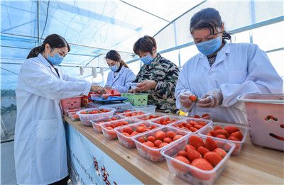 网红反差 内容策划能力与风险承受力