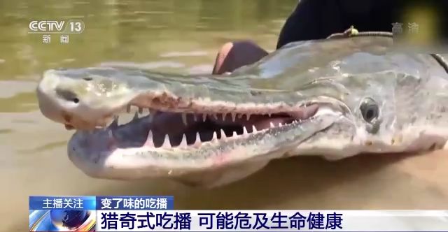 不卡顿 联系网络服务提供商