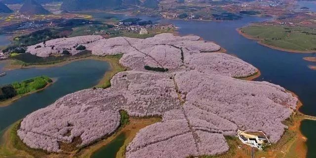 男同男团 粉丝会基于剧集和互动