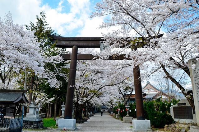 欧美一级夜夜爽动态 我还没有学会回答这个问题