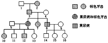 国内揄拍国内精品少妇