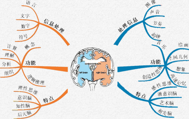 波多野结衣无吗 波多如果你有其他问题