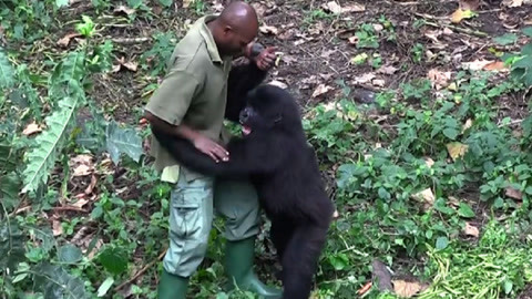 91论坛 论坛的论坛信息密度较高