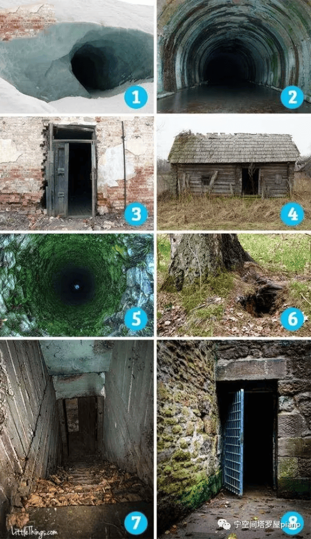 nanacute小马拉大车 小马如果你有其他问题