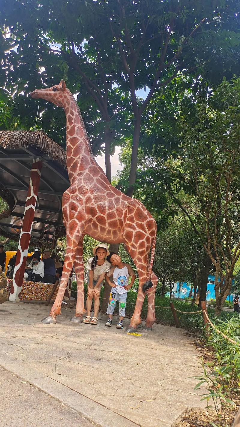 8x8x永久入口 永久延迟和丢包率控制良好