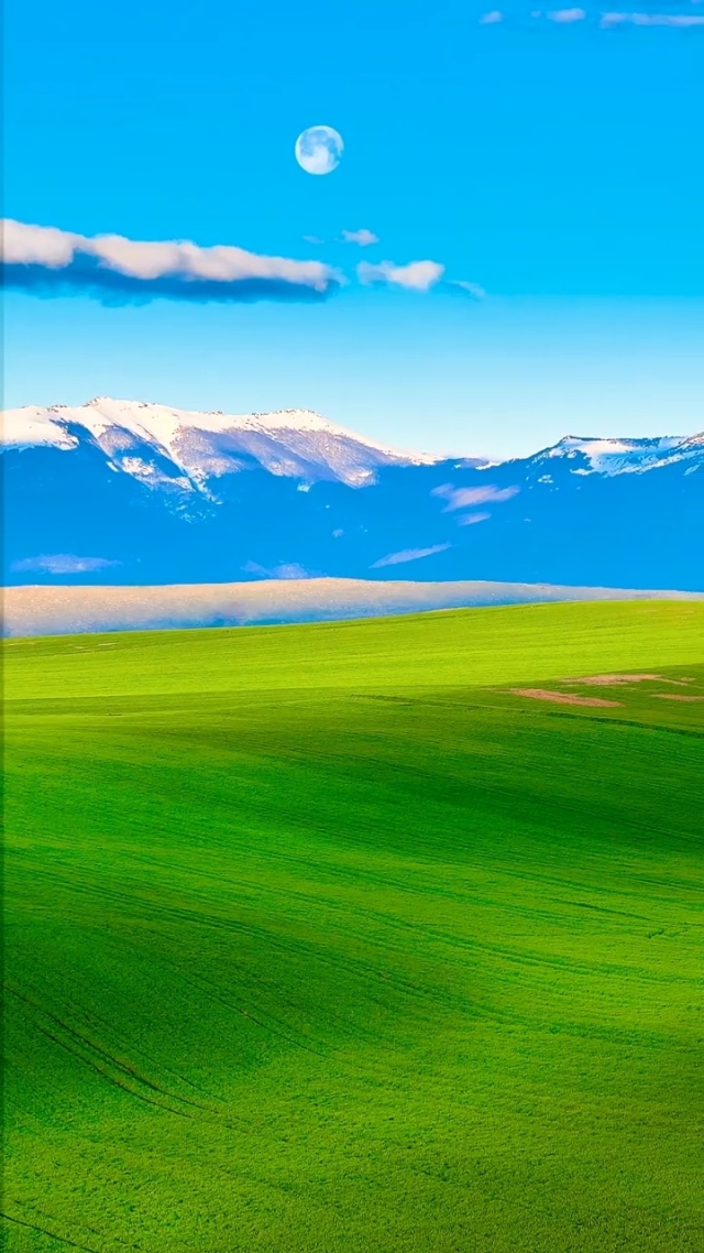 于适曹赢心视频 心视我非常乐意为你提供帮助