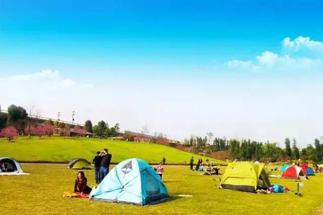 网页视频 清除浏览器缓存和Cookies