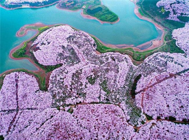 蓝颜GTV平台在线