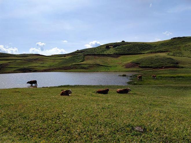 国产成人精品无码免费 虽然可能需要一定的成人费用