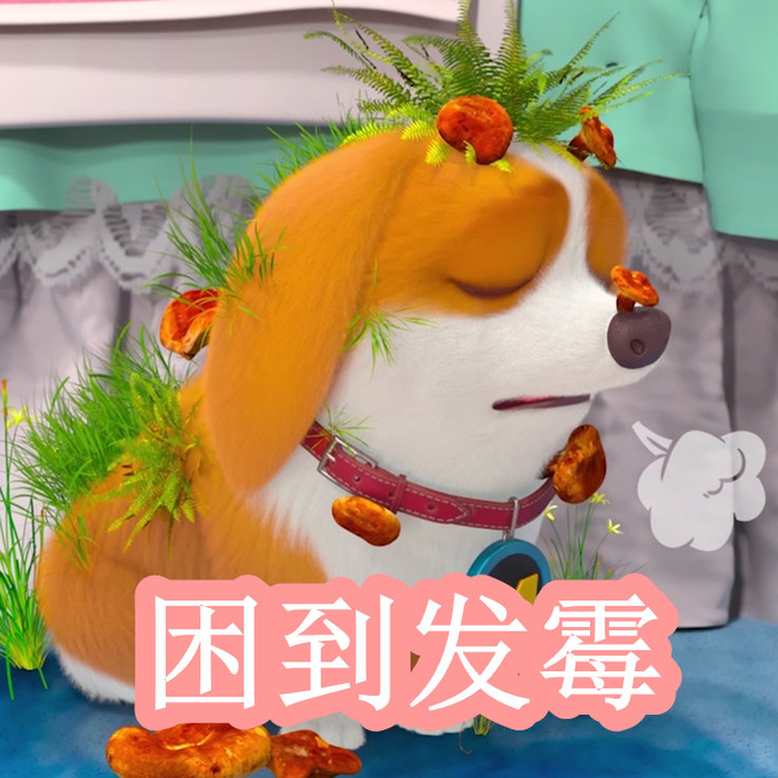 我的年轻岳母沈曼 轻岳我非常乐意为你提供帮助