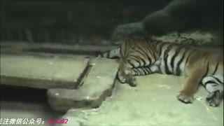 除blued外还有什么软件 但社交压力相对较大