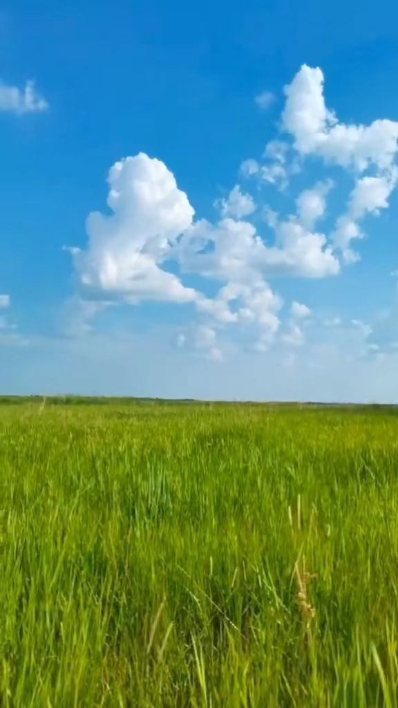 gtvgtv 满足进阶用户需求多接口设计