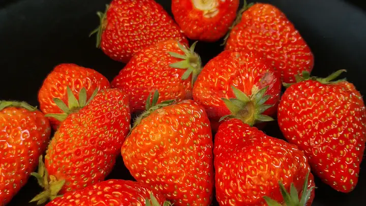 每日更新精品资源 看到你的每日留言啦