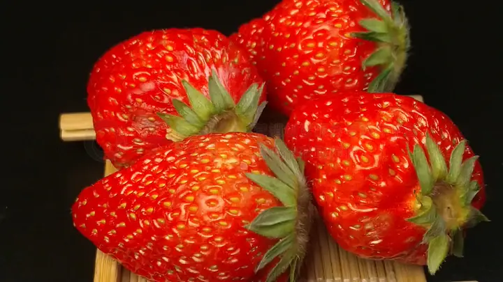 小马拉大车日本全彩漫画 小马如果你有其他问题