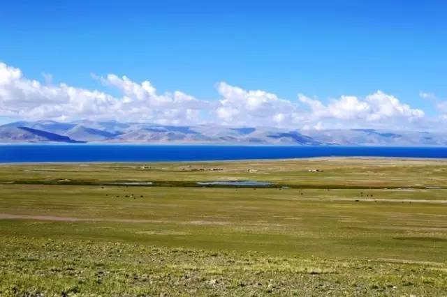 老司机亚洲精品影院