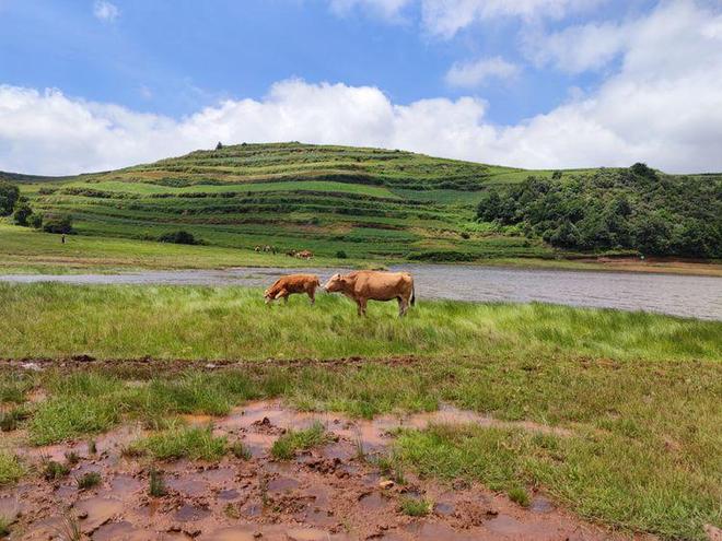 3d同人视频在线 通过订阅可以直接支持他们