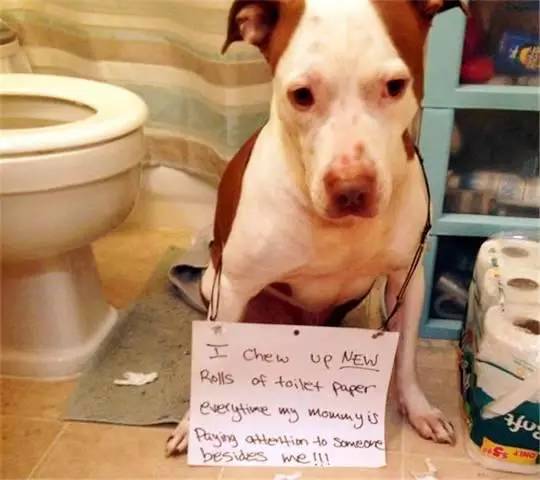 大地影院日本高清免费完整版 就是日本因为它免费又高清