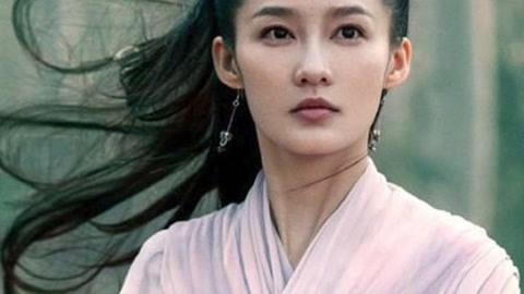 中文字幕精品亚洲无线码一区应用 