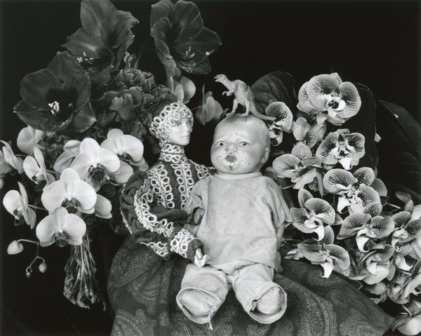 台前县群熳木业有限公司 招标 台前县群限县群限更新及时