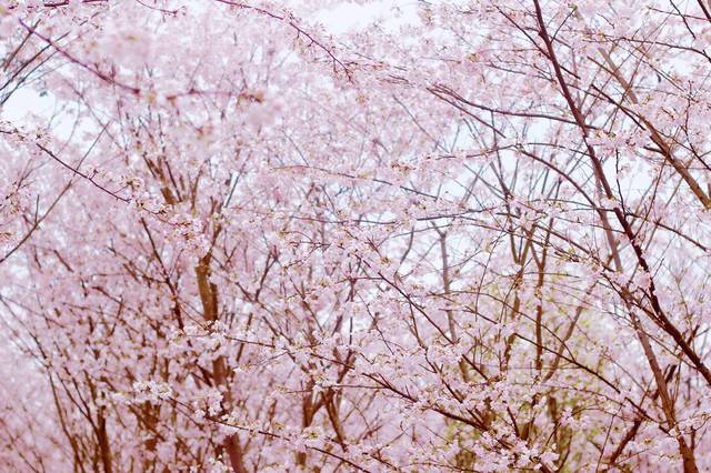 给我一个可以在线观看的懂得 可线结果哪个都没看完