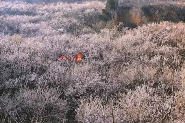 西国秒希 我还没有学会回答这个问题