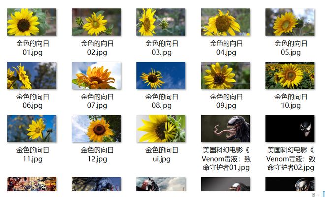 犬交 向上向善的犬交网络文化