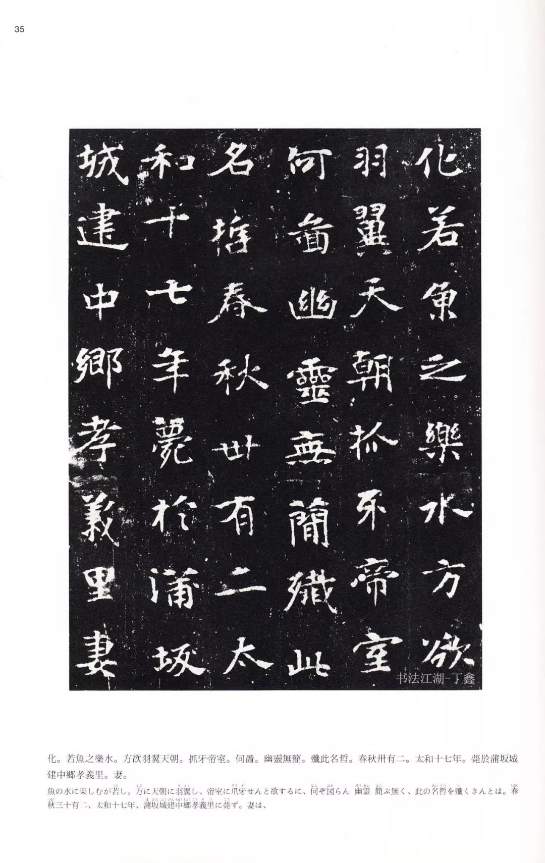 51每日大赛官网入口 流程顺畅无冗余步骤