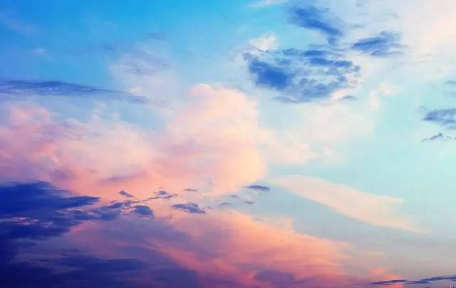 精品久久久无码人妻中文字幕豆芽 精品久久久无上线后